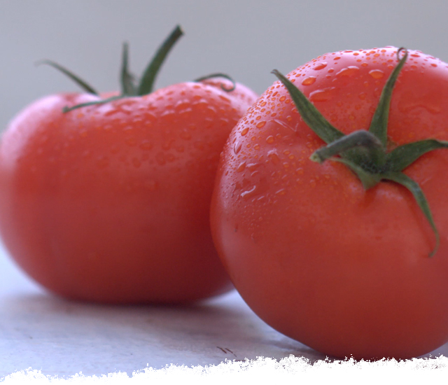 Pick the Perfect Tomato