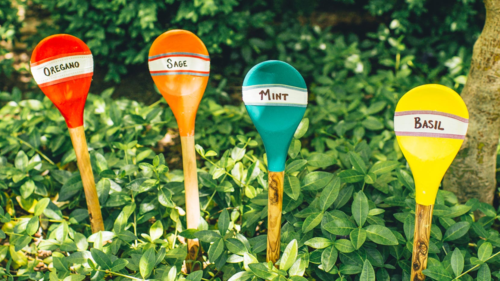 Place wooden spoon in garden next to its corresponding herb