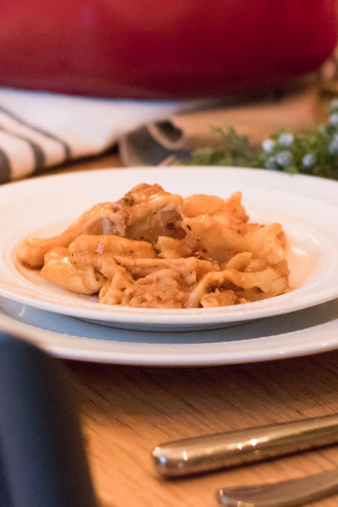 Chicken Alfredo Pasta Recipes | Bertolli® - Bertolli