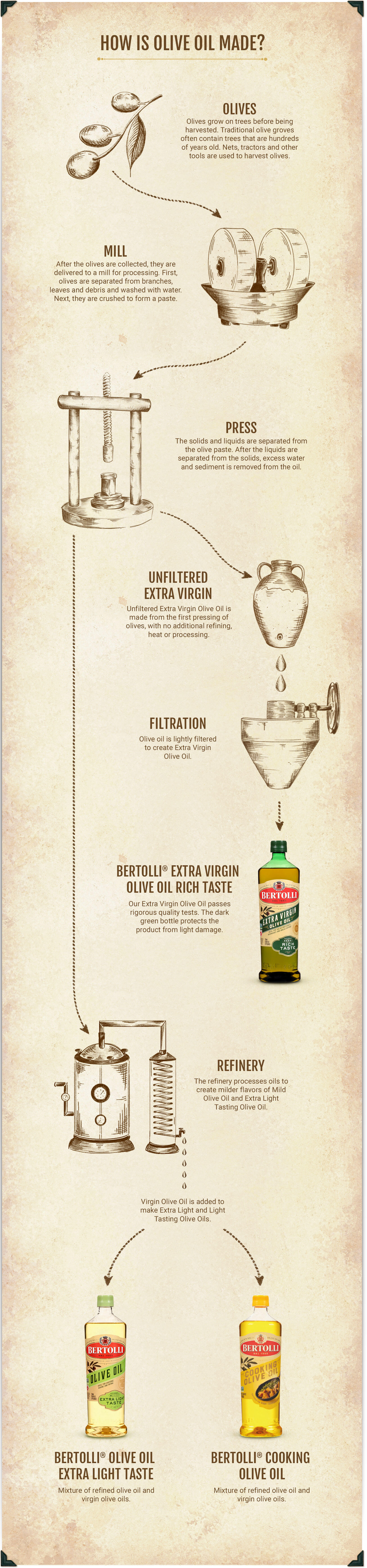 olive-oil-extraction-process-bertolli